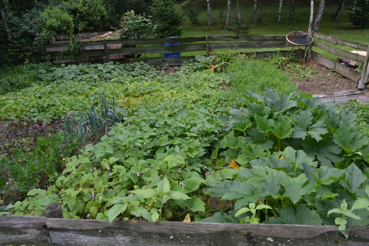 Agroturystyka Teosiowo Pobiedna Buitenkant foto